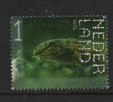 ‹(•¿•)› nl m0190 natuur 2022 vis - kleine modderkruiper, Postzegels en Munten, Postzegels | Nederland, Verzenden, Na 1940, Gestempeld