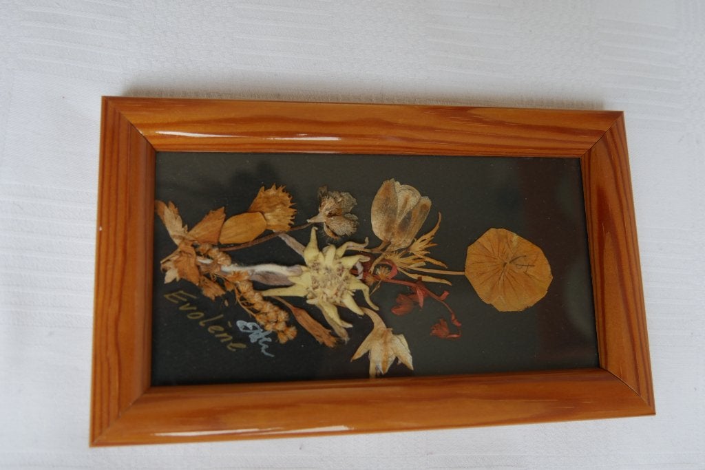 Prachtig lijstje met droogbloemen, Ophalen of Verzenden