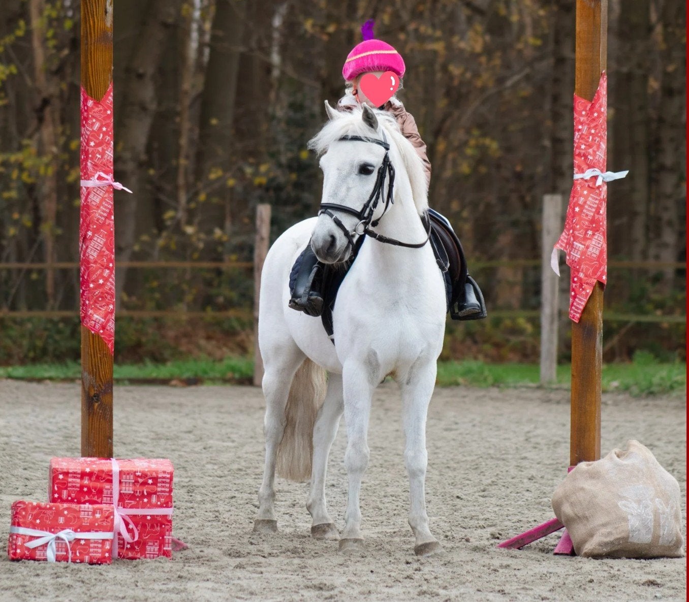 Leuke B ter lease aangeboden, Verzorging of Verzorgpony's