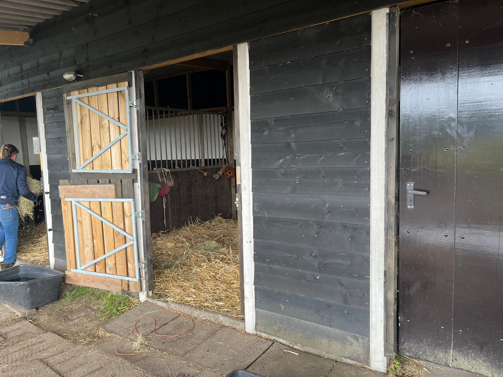 Opfok plekje hengstveulen, Dieren en Toebehoren, Stalling en Weidegang, Weidegang, 2 of 3 paarden of pony's