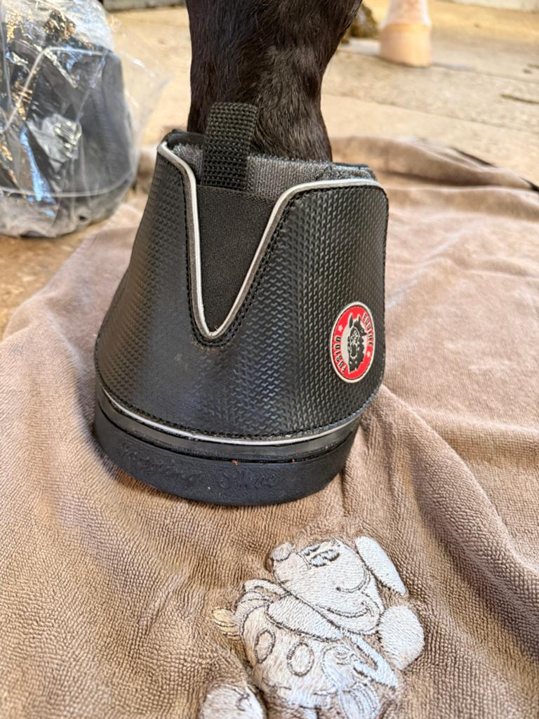 TE KOOP: Equine Fusion Active maat 15S!, Dieren en Toebehoren, Paarden en Pony's | Overige Paardenspullen, Gebruikt, Ophalen of Verzenden
