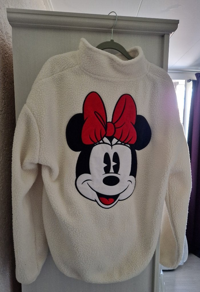 Disney Parijs trui, Ophalen of Verzenden, Mickey Mouse, Zo goed als nieuw, Kleding of Textiel
