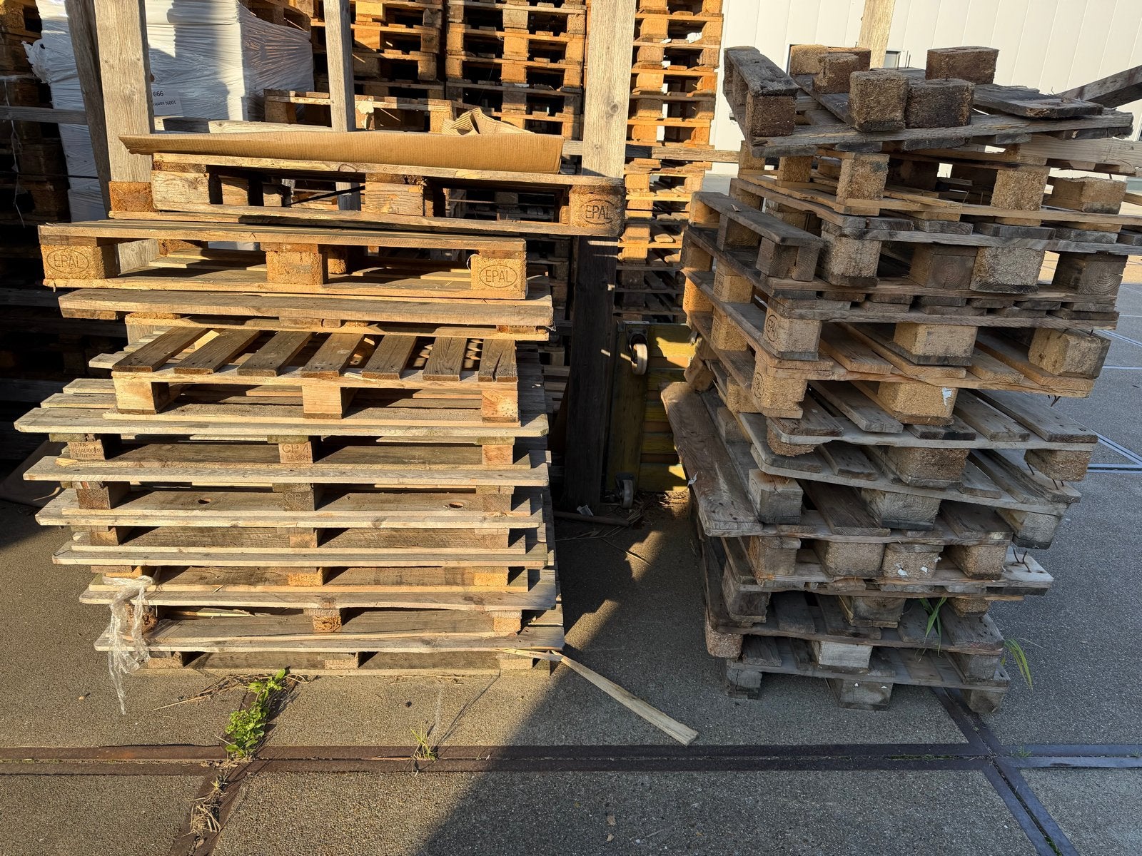 Gebruikte houten pallets - Diverse maten en types, Ophalen, Gebruikt, Hout, 20 tot 50 mm