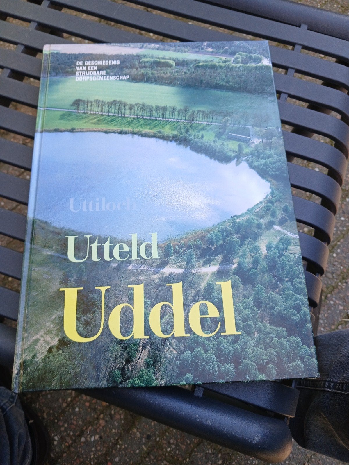 Geschiedenis van Uddel: Utillo, Utteld, Uddel, Boeken, Ophalen of Verzenden, 20e eeuw of later, Zo goed als nieuw, Onbekend