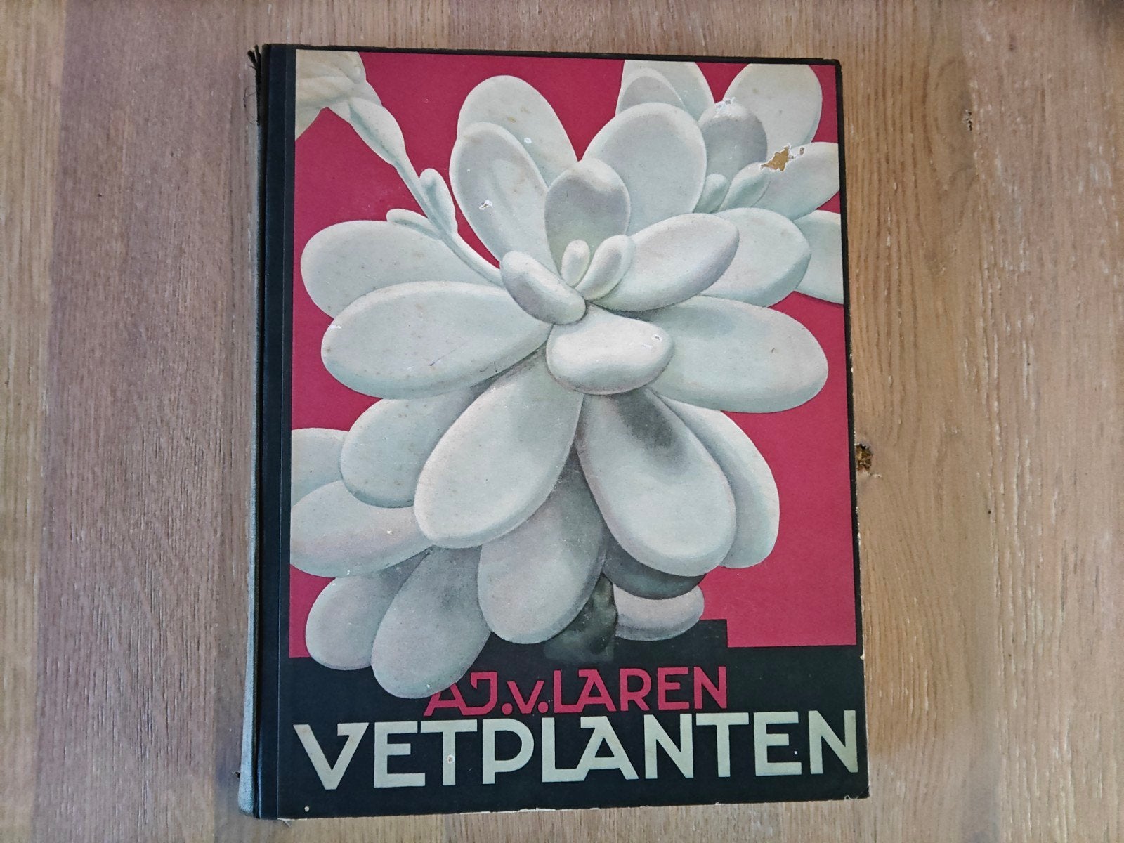 Vetplanten door A.J. van Laren. Uitgave Verkade., Ophalen of Verzenden, Gelezen