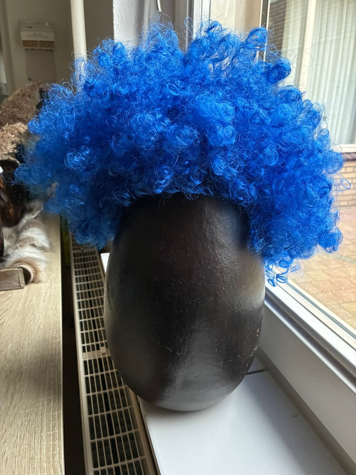 Blauwe pruik zgan, Ophalen of Verzenden, Zo goed als nieuw