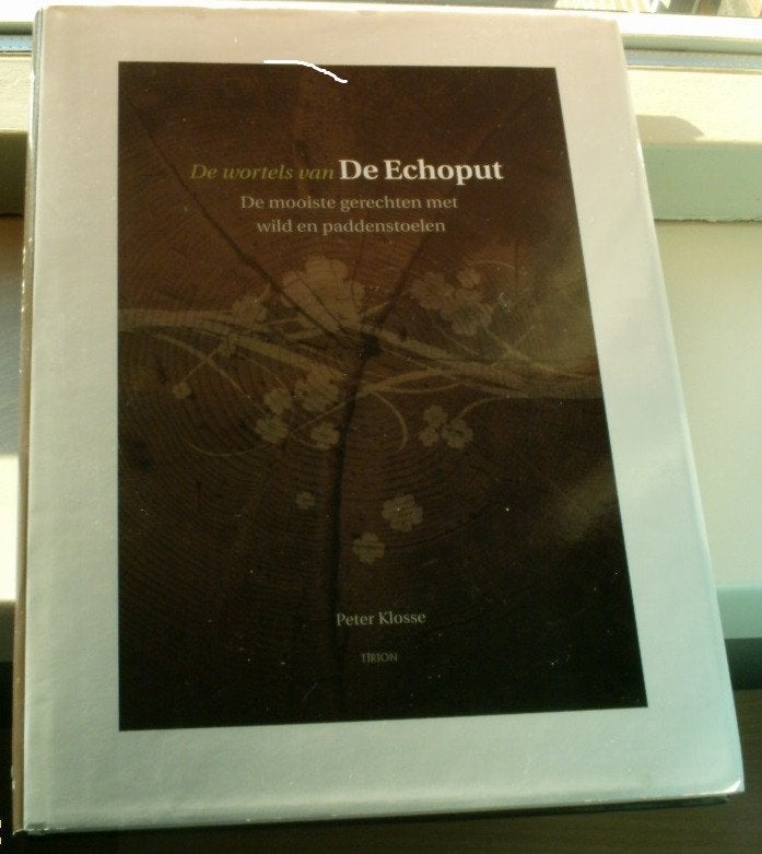 De wortels van De Echoput(9043909521,Klosse,Reker)., Ophalen of Verzenden, Zo goed als nieuw