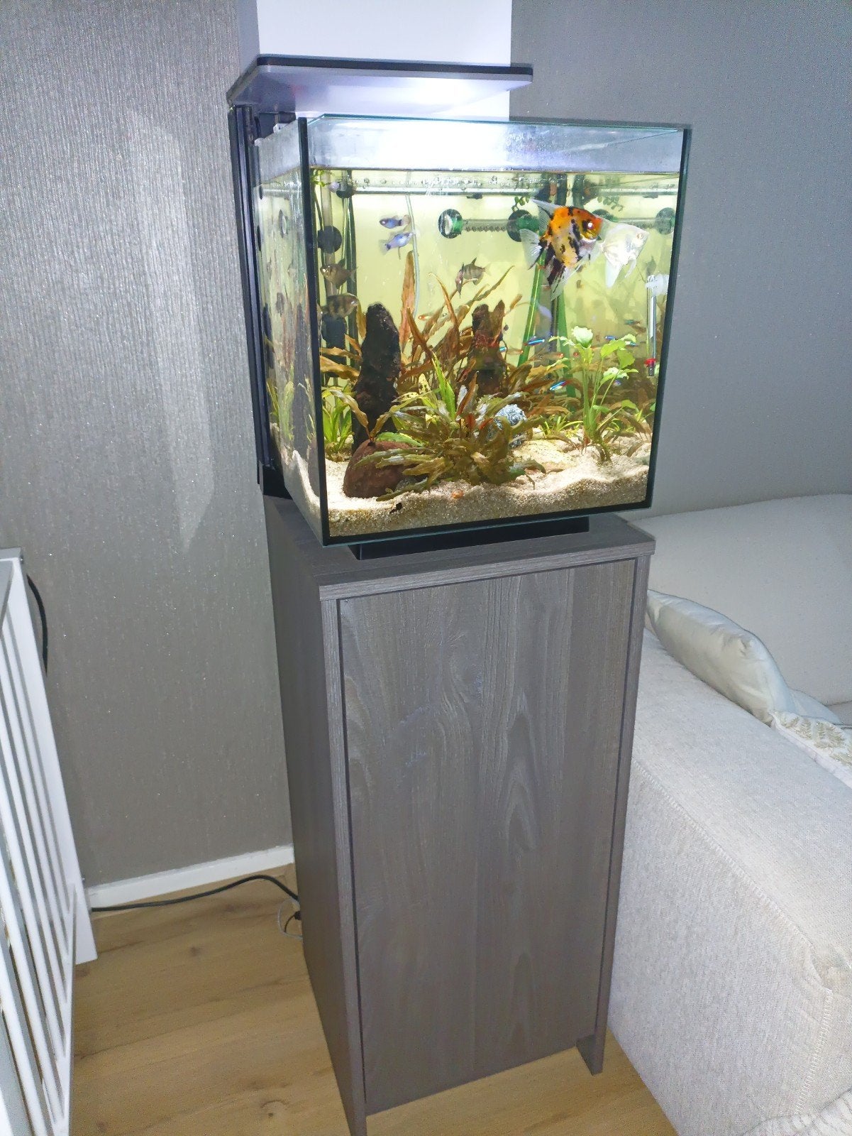 mooie aquarium met alle toebehoren en vissen, Ophalen of Verzenden, Zo goed als nieuw, Gevuld zoetwateraquarium