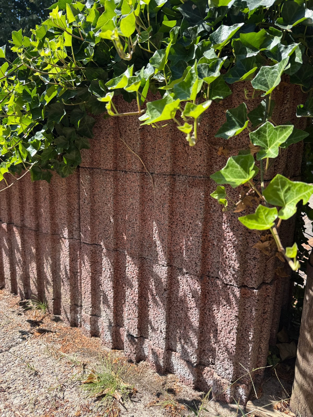 30 roze stenen plantenbakken/borders met hedera, Ophalen, Gebruikt, Border, Beton