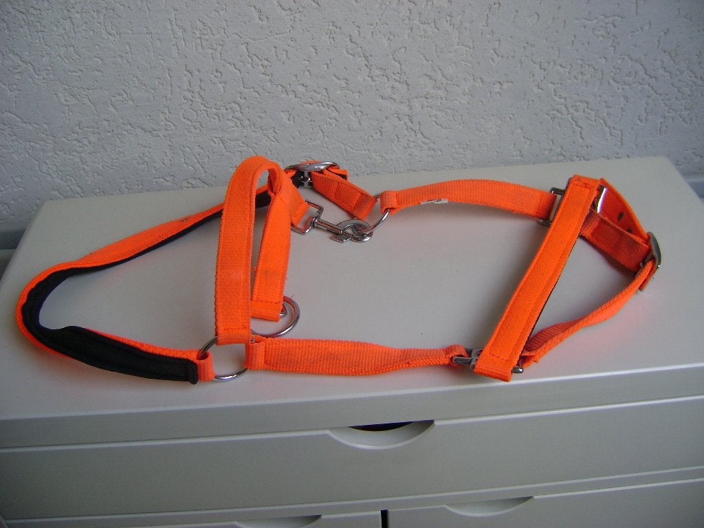 fluor roze pony teugels verstelbaar, Recreatie, Zo goed als nieuw, Roze, Verstelbaar