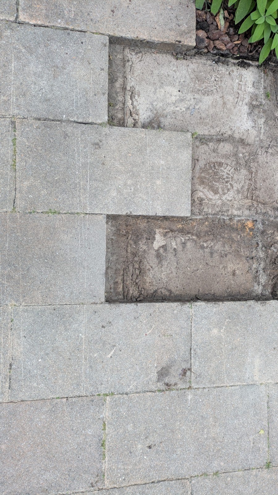 Betontegels 60x30x6 cm - 15 tot 20 stuks, Tuin en Terras, Tegels en Klinkers, Ophalen, Gebruikt, Beton, Terrastegels