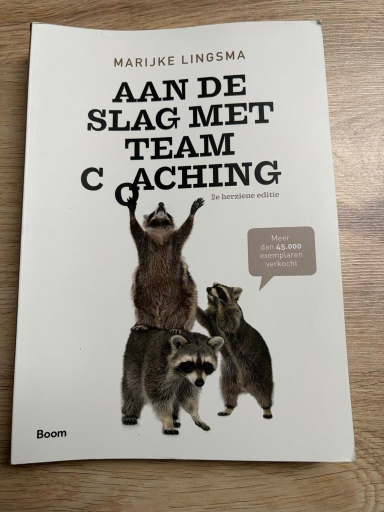 Aan de Slag met Teamcoaching - Marijke Lingsma, Ophalen of Verzenden, Zo goed als nieuw