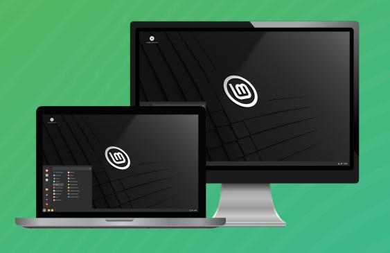 Linux Mint USB opstart- en installatie stick, Verzenden, Nieuw, Windows