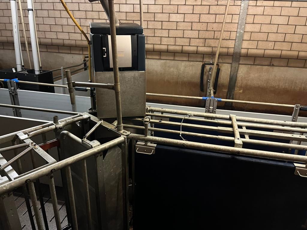 Voerstations, Dieren en Toebehoren