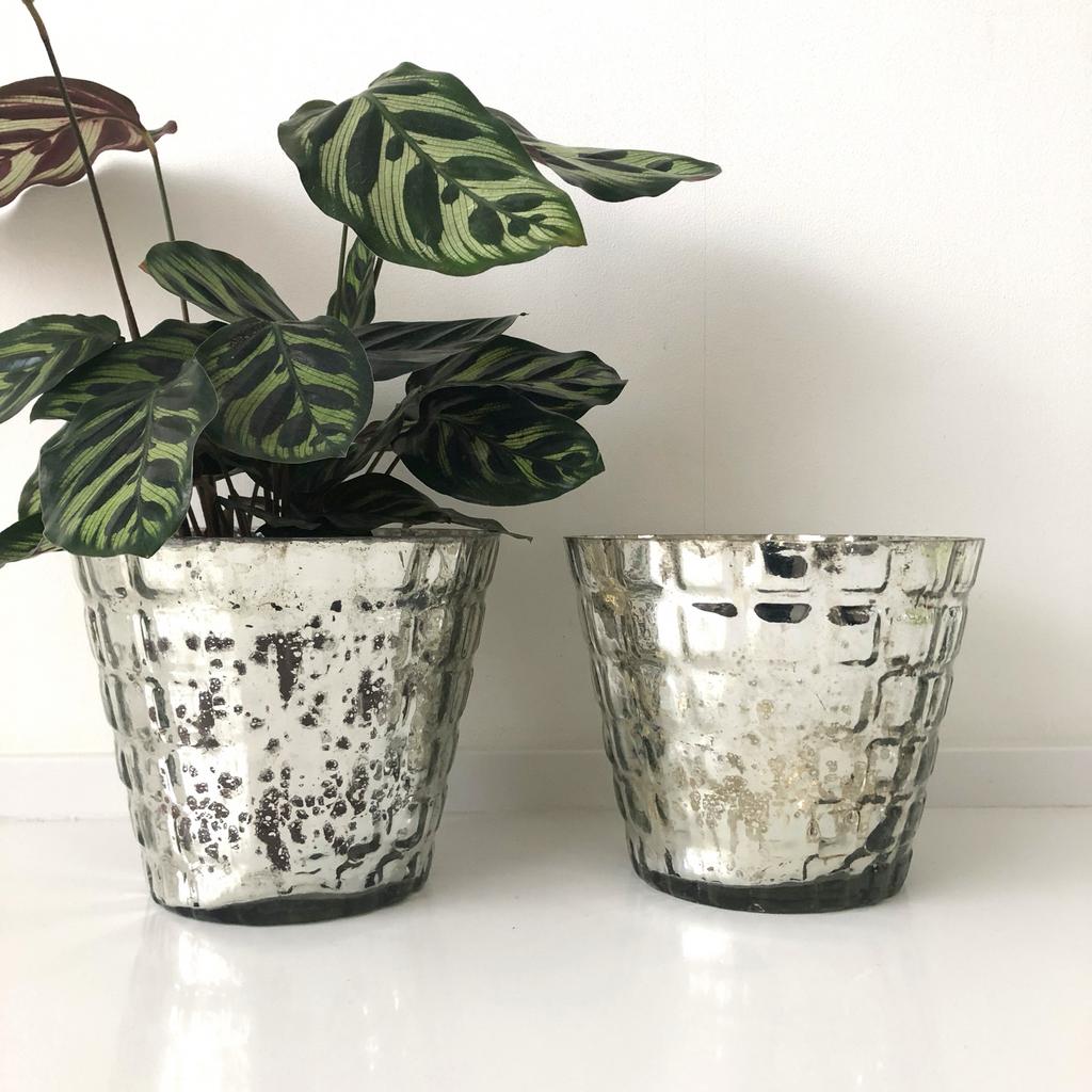 Riviera Maison glazen windlichten / bloempotten zilver glas, Tuin en Terras, Bloempotten, Overige materialen, Minder dan 40 cm