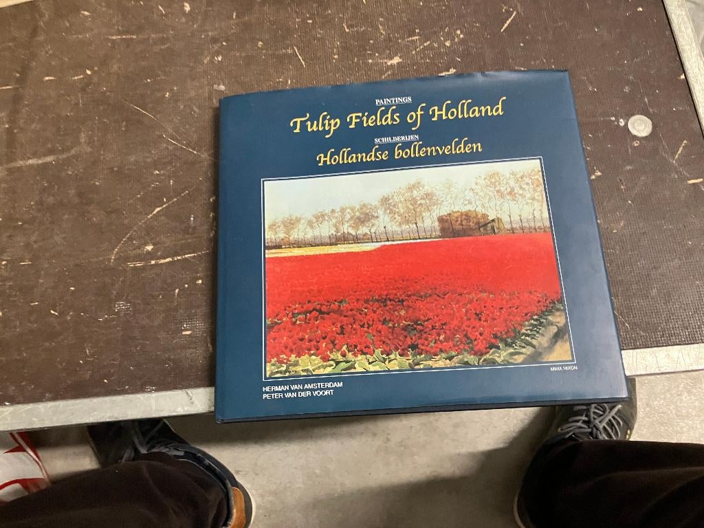 bloembollen bollenvelden Lisse keukenhof, Ophalen of Verzenden, Zo goed als nieuw, Schilder- en Tekenkunst