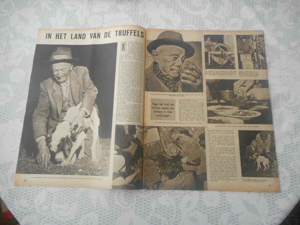 In het land van de truffels. 1956., Ophalen of Verzenden, 1940 tot 1960, Knipsel(s)