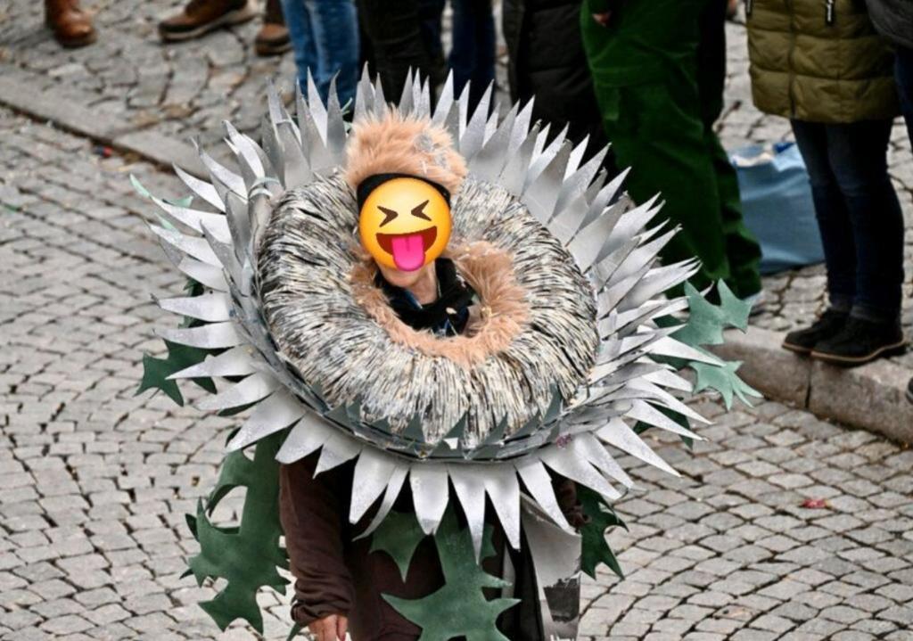 2 stuks DISTEL Carnaval kostuum loopgroep pak handgemaakt, Ophalen, Carnaval, Overige maten, Kleding