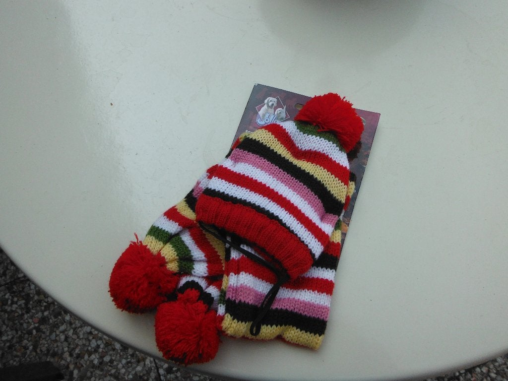 honden wintersetje nieuw, Ophalen of Verzenden, Nieuw, Overige hondenkleding