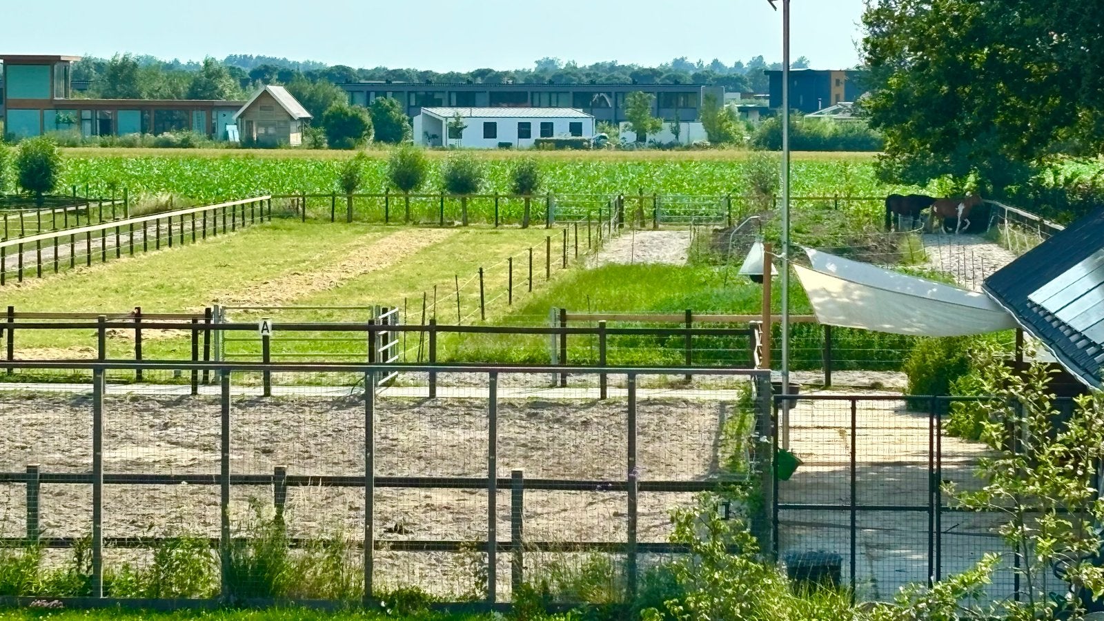 Doe-het-zelf stal, Dieren en Toebehoren, Stalling en Weidegang, Stalling, 2 of 3 paarden of pony's