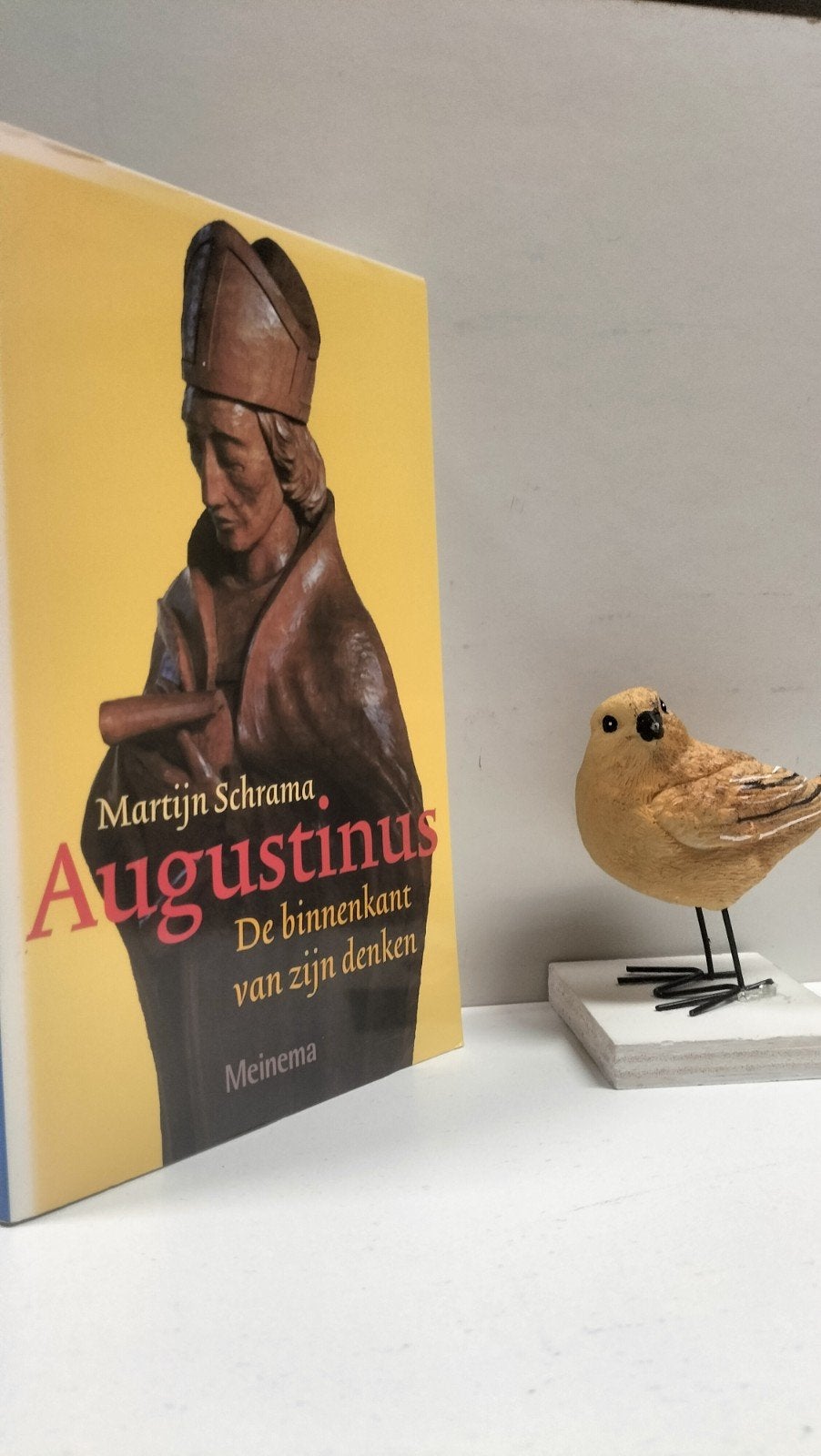 Schrama, Martijn; Augustinus, Ophalen of Verzenden, Gelezen, Christendom | Protestants