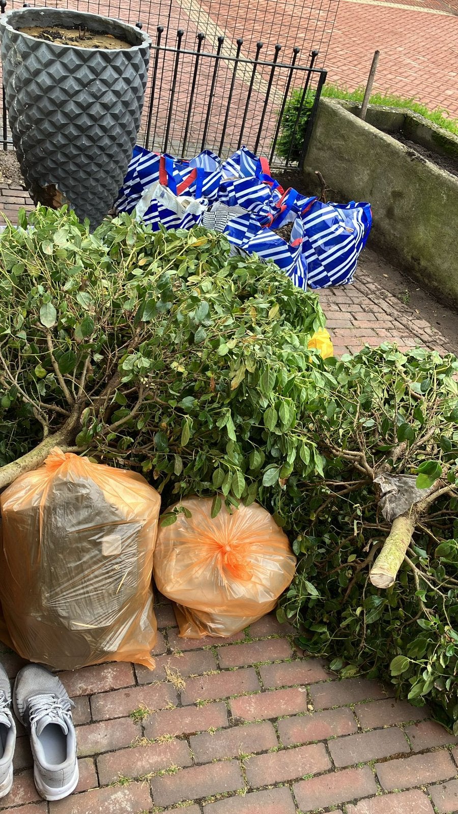 Afval weggooien plusminus 1m3h, Ophalen of Verzenden, Overige soorten, Volle zon