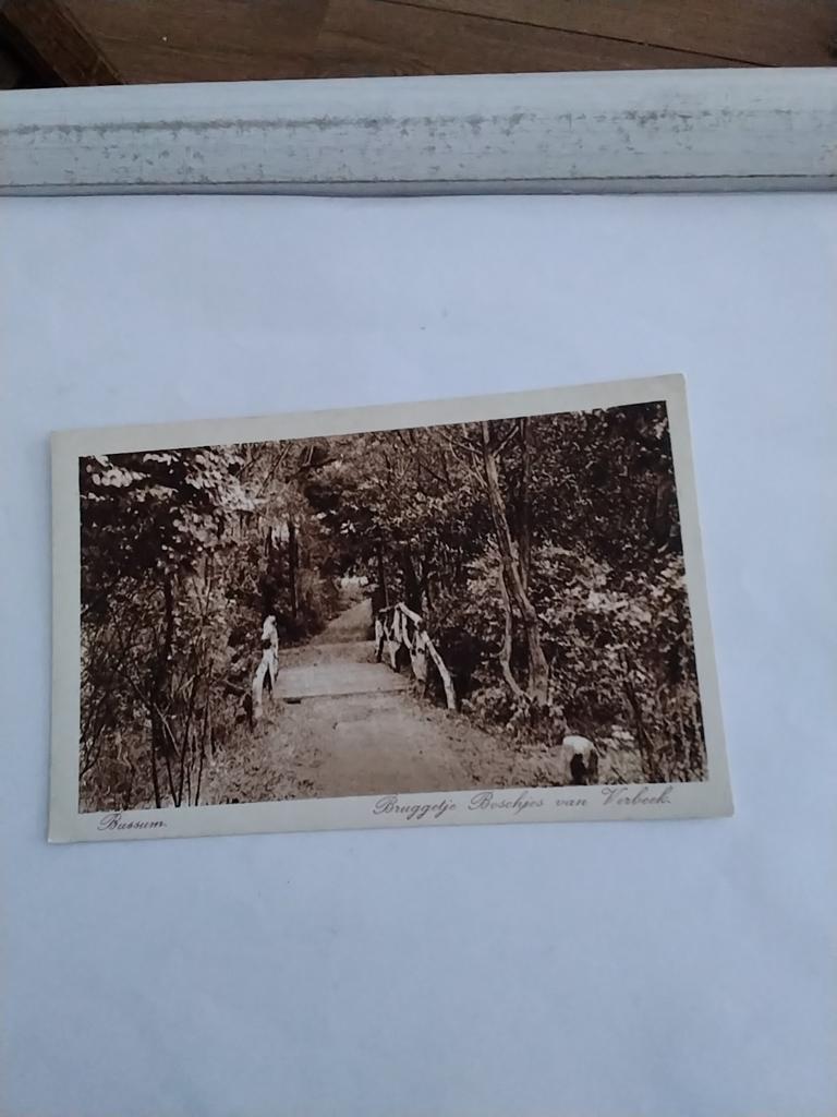 BUSSUM. BRUGGETJE  BOSCHJES VAN  VERBEEK, Verzamelen, Ansichtkaarten | Nederland, Ophalen of Verzenden, Voor 1920, Noord-Holland