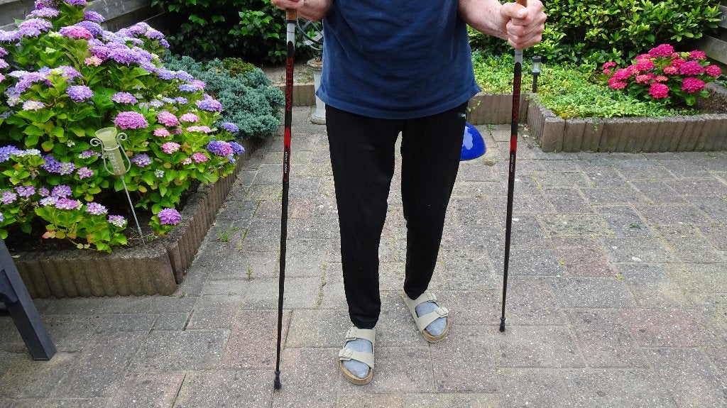 nordic walking stokken, Ophalen, Gebruikt, Wandelstok
