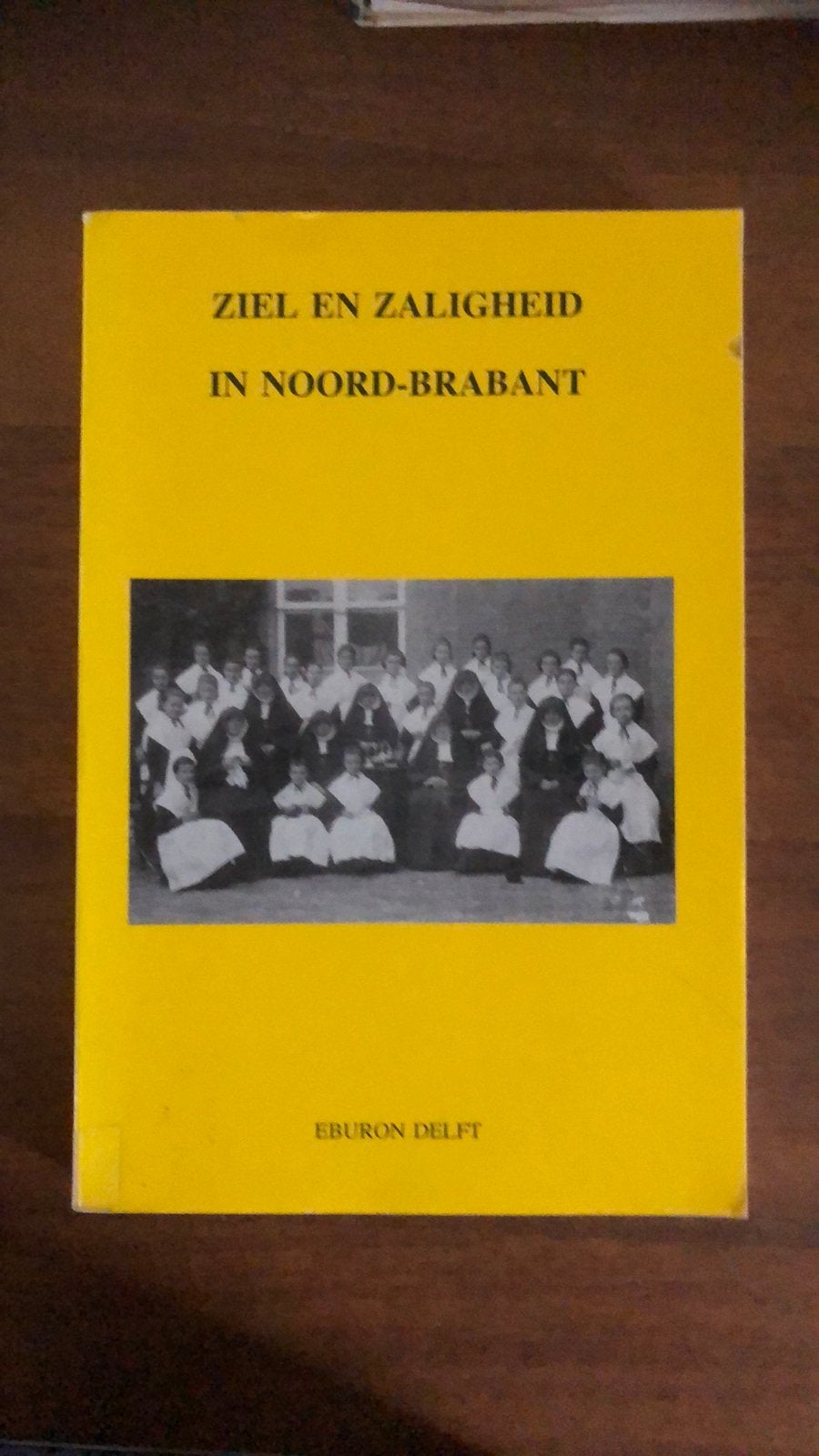 Ziek en zaligheid in Noord-Brabant, Ophalen of Verzenden