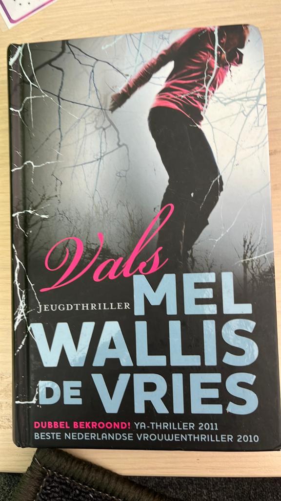 Tienerboek mel walles de Vries, Ophalen of Verzenden, Zo goed als nieuw