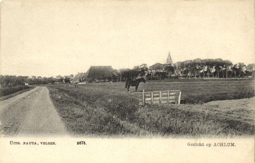 Gezicht op Achlum. - paard - ongelopen, Verzenden, 1920 tot 1940, Ongelopen, Friesland