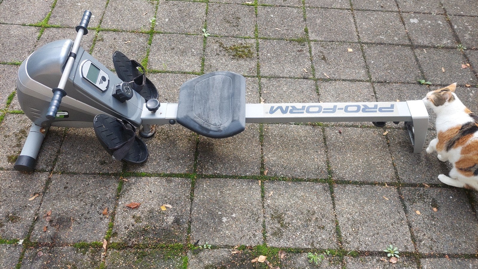 Pro-Form Roeimachine - Gebruikt maar werkend, Ophalen of Verzenden