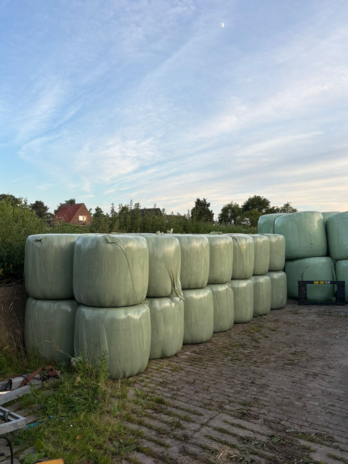 Midi balen/ hooibalen, Ophalen, Vee