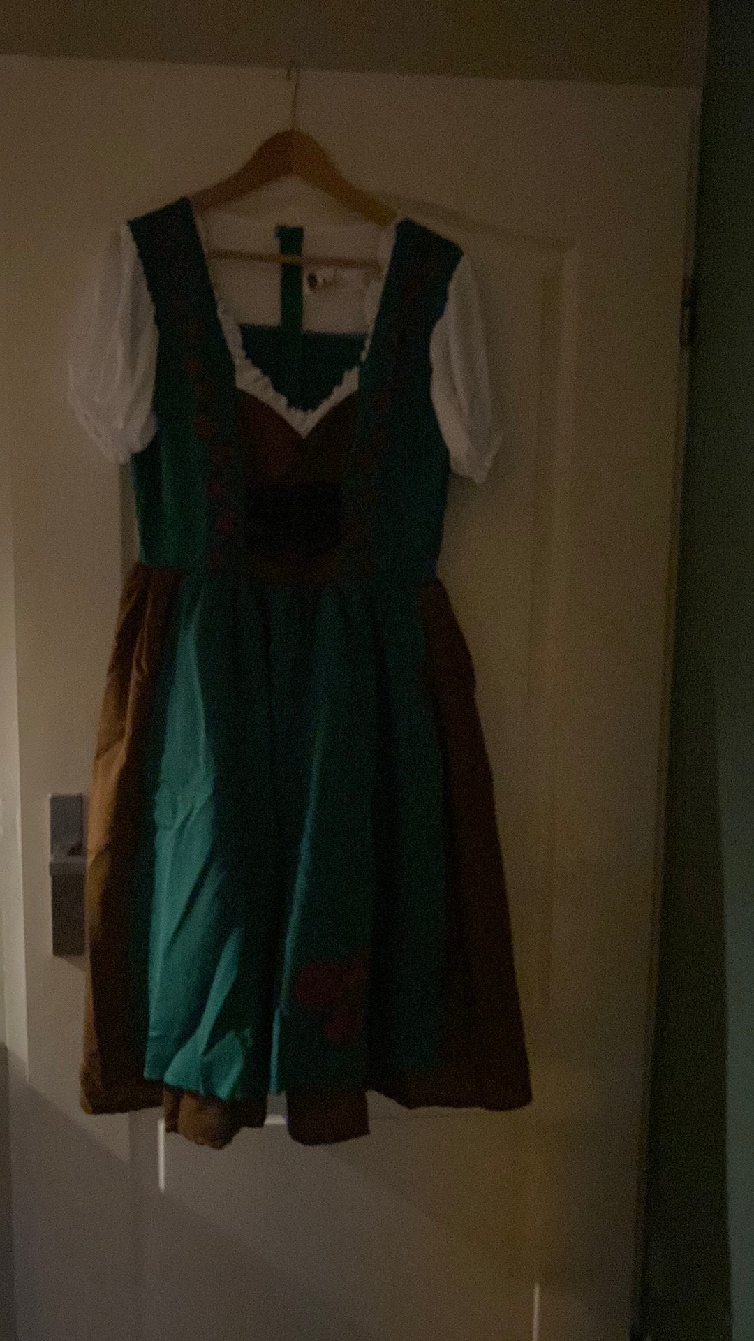 Nieuwe Tiroler dames jurk maat L, Kleding | Dames, Ophalen, Maat 42/44 (L), Nieuw, Overige thema's