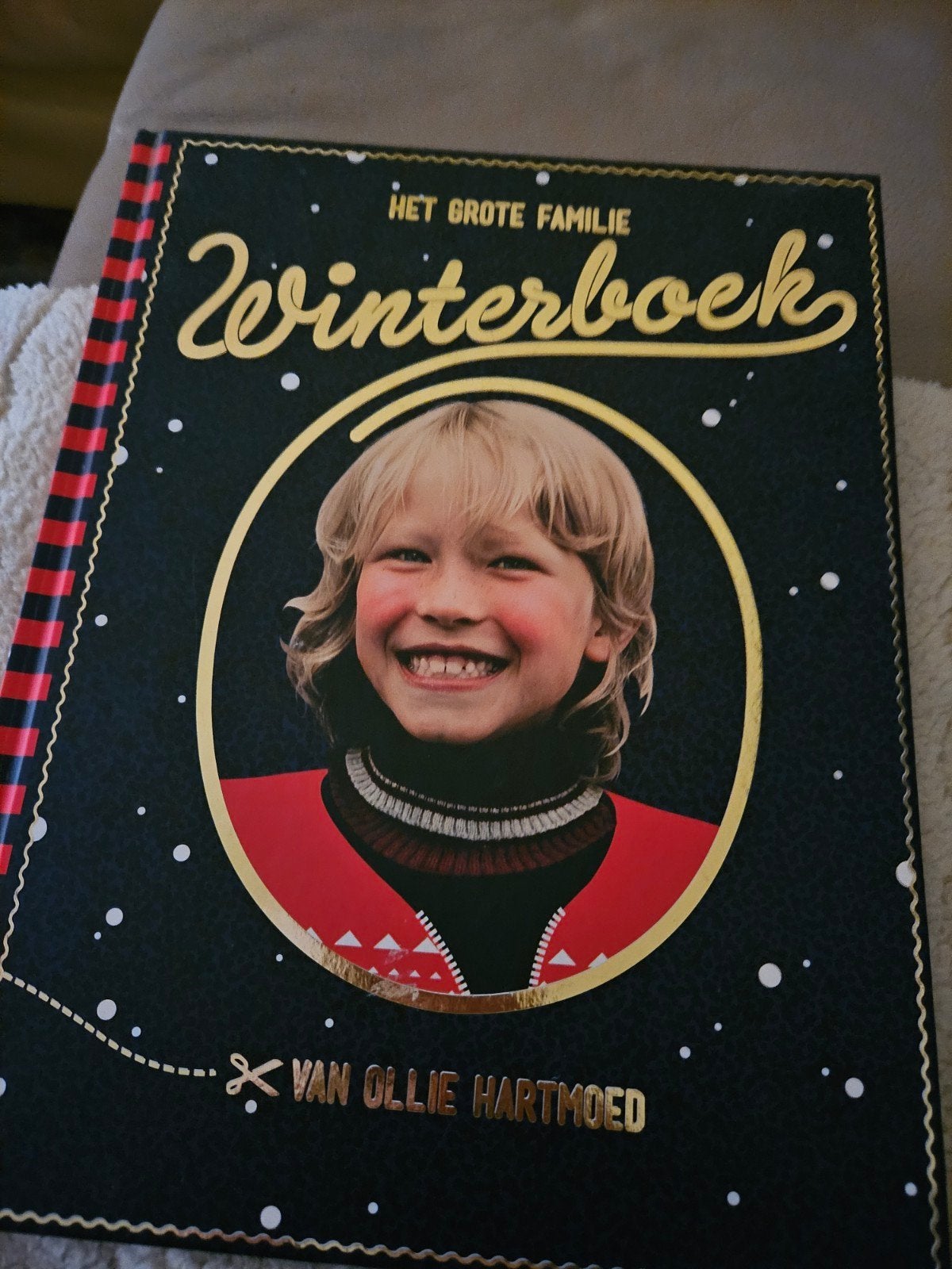 Het Grote Familiewinterboek van Ollie Hartmoed, Ophalen of Verzenden
