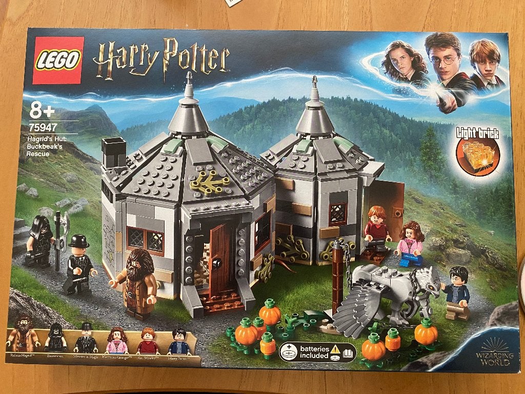 Lego 75947 Harry Potter Hagrids huisje: Scheurbeks ontsnappi, Kinderen en Baby's, Speelgoed | Duplo en Lego, Ophalen, Lego, Complete set