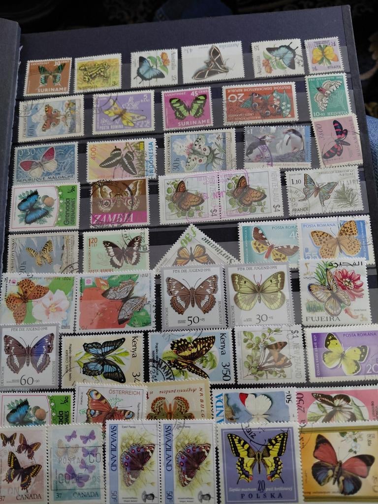 Postzegelboek vlinders, Postzegels en Munten, Postzegels | Volle albums en Verzamelingen, Ophalen of Verzenden, Buitenland