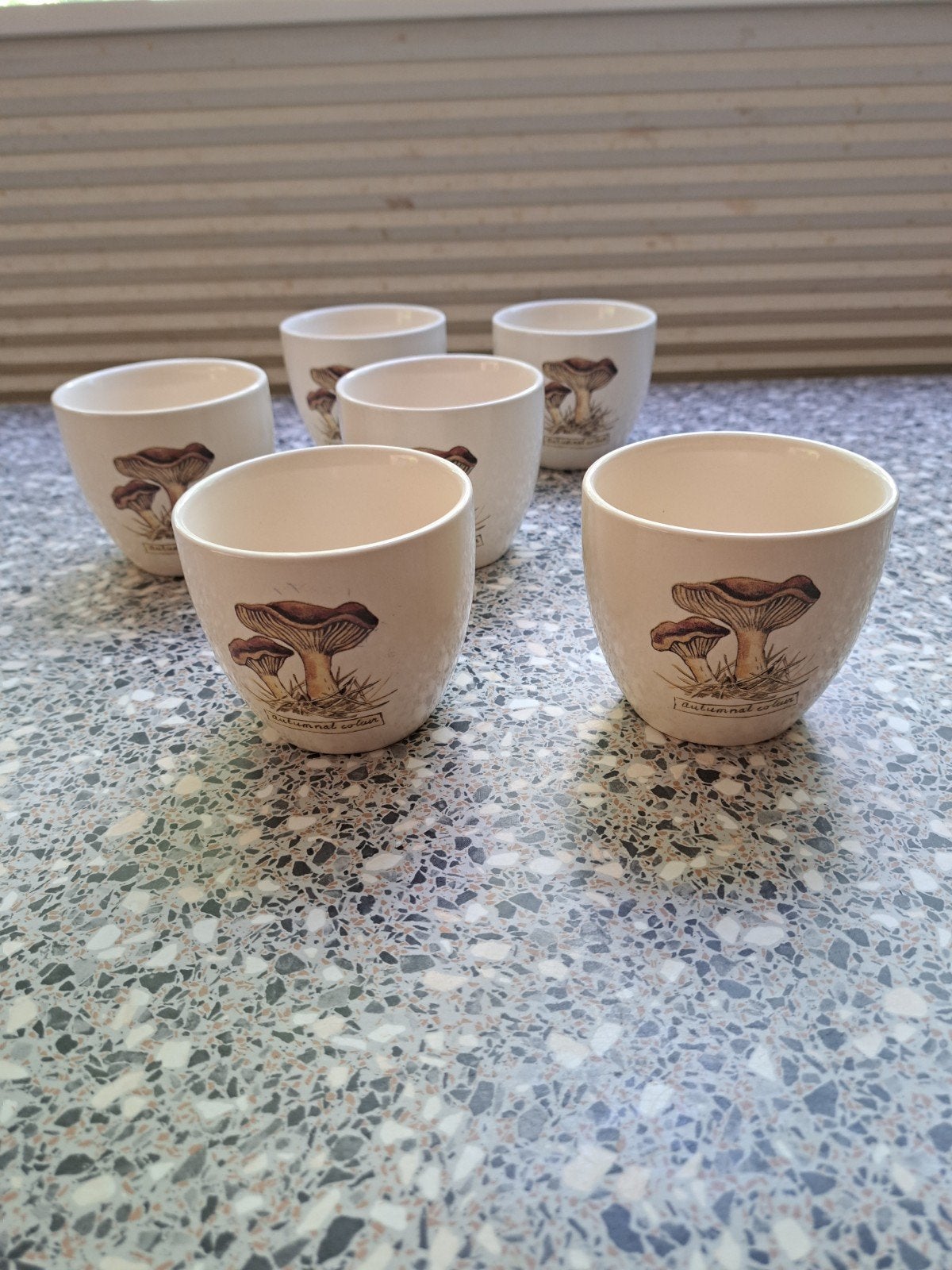Jet ter Steege, Rijssen, Autumnal colour, 6 bekers, mokken, Overige typen, Ophalen of Verzenden, Zo goed als nieuw, Overige stijlen