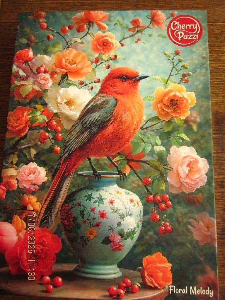 legpuzzels, Ophalen, 500 t/m 1500 stukjes, Zo goed als nieuw, Legpuzzel