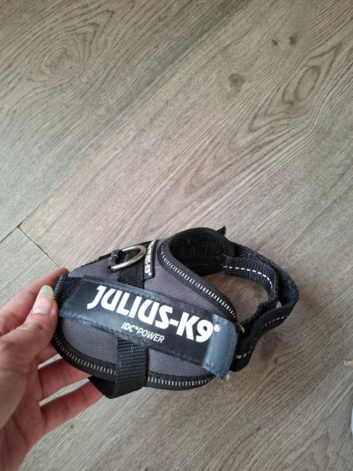 juluis k9 tuig baby2, Dieren en Toebehoren, Julius-K9, Ophalen of Verzenden, Gebruikt, Halsband