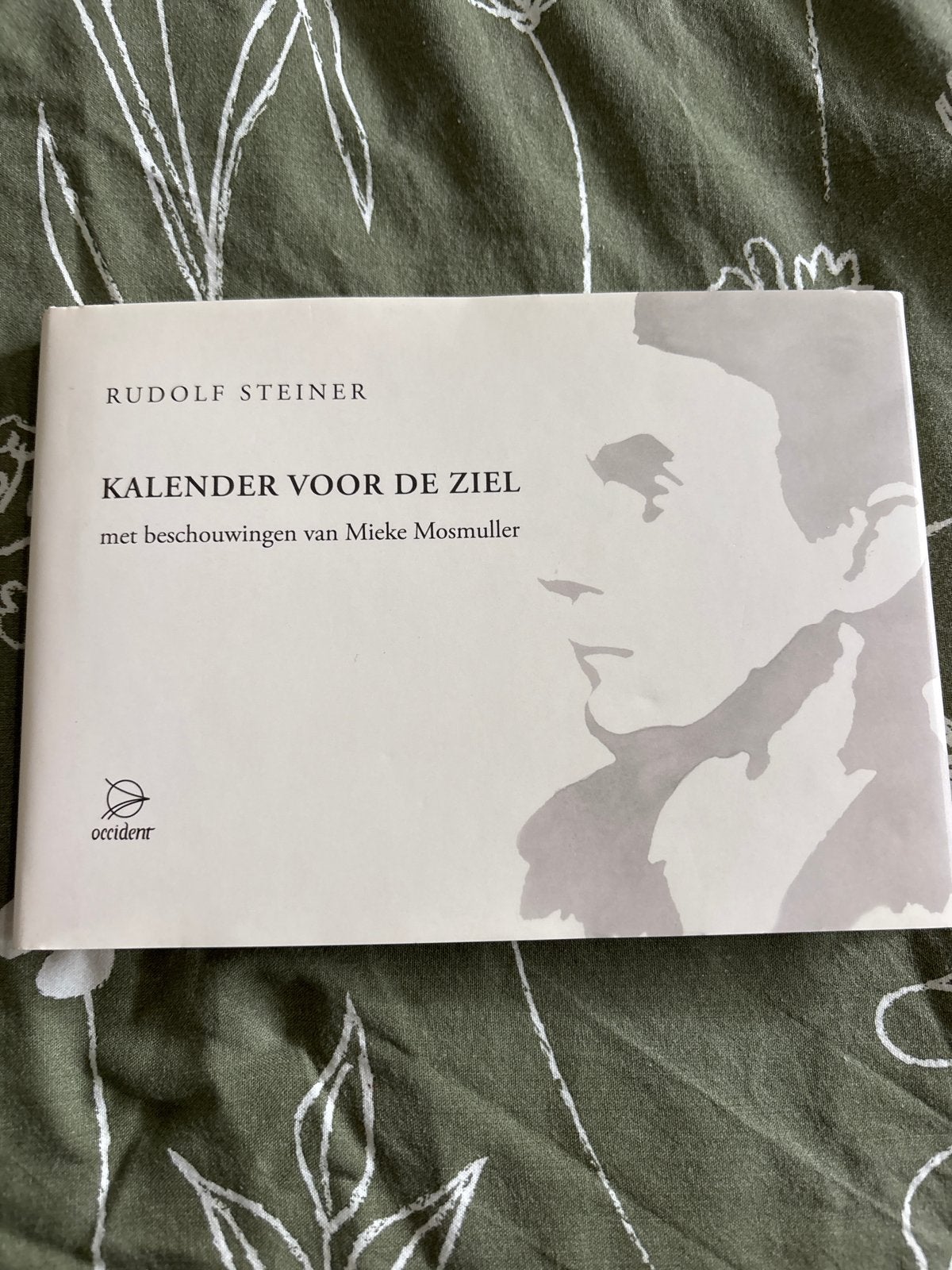 Rudolf Steiner - Kalender voor de Ziel, Ophalen of Verzenden, Zo goed als nieuw, Spiritualiteit algemeen, Achtergrond en Informatie