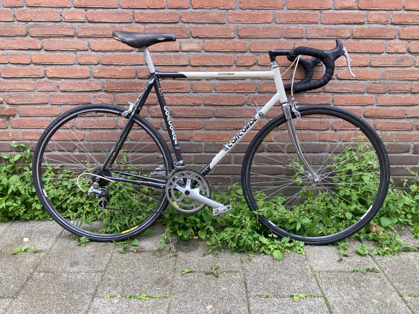 Concorde racefiets PDM kleuren, 28 inch, Gebruikt, 53 tot 57 cm, Ophalen