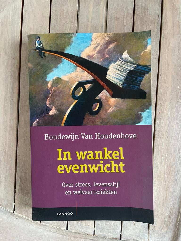 Boudewijn Van Houdenhove - In wankel evenwicht, Boeken, Ophalen of Verzenden, Zo goed als nieuw, Boudewijn Van Houdenhove