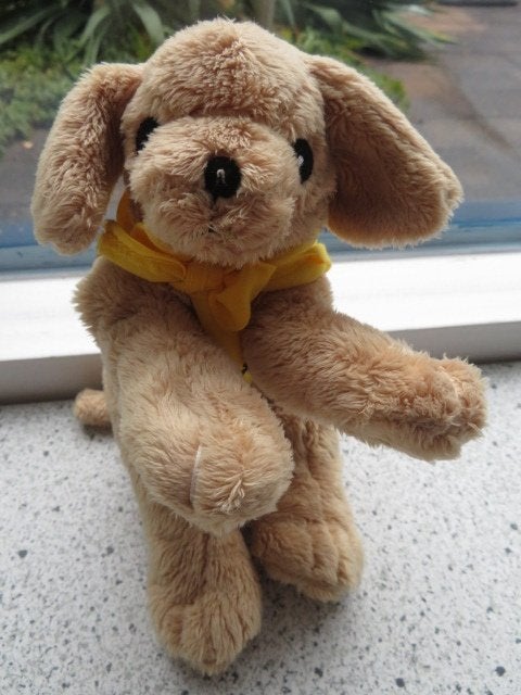 Hond hondje van KNGF geleidehond meet ca 20 cm, Ophalen of Verzenden, Zo goed als nieuw, Hond, Korrelvulling