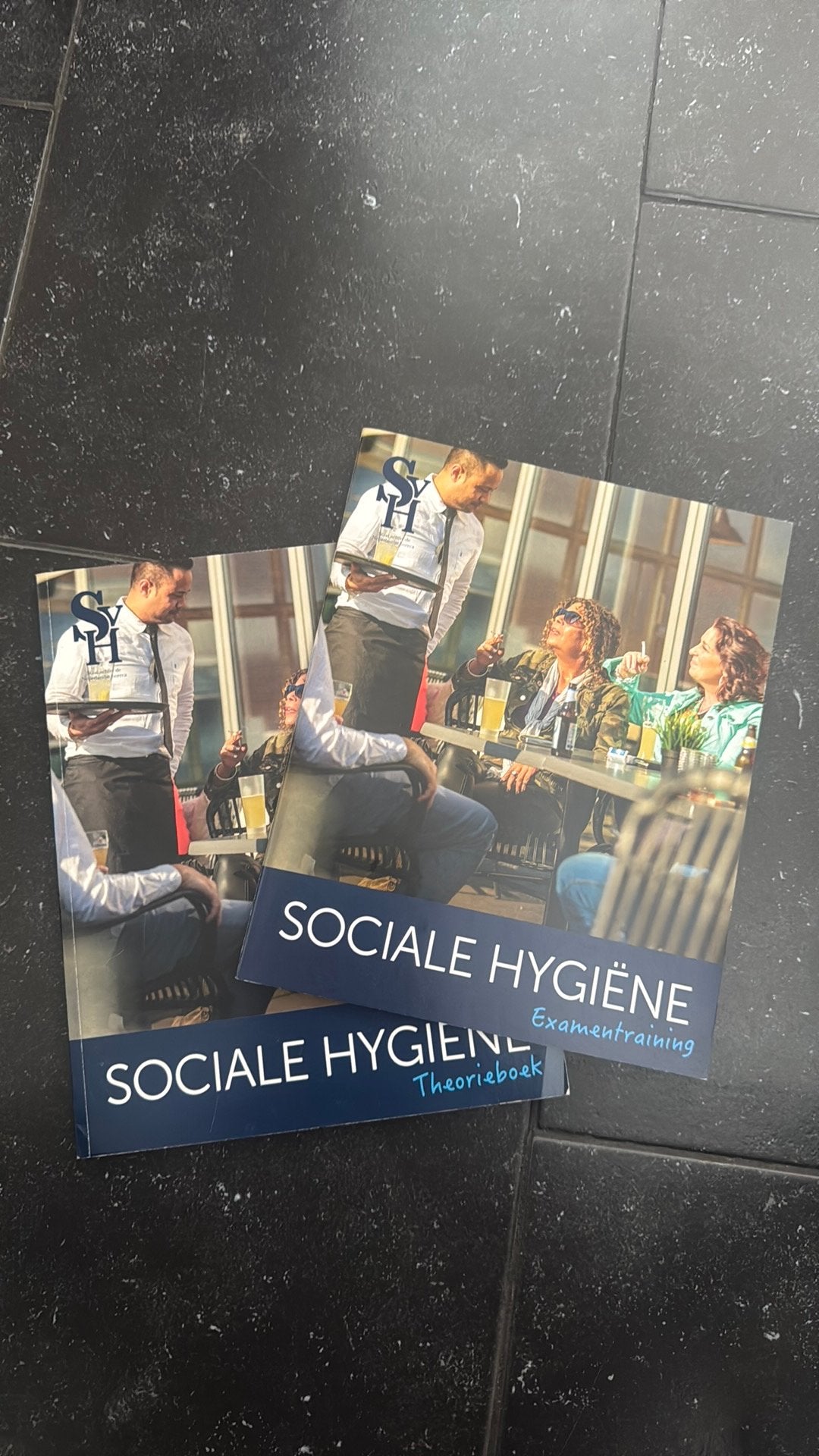 Sociale hygiëne theorieboek + examentraining, Ophalen of Verzenden, Zo goed als nieuw, A. Appel, Nederlands
