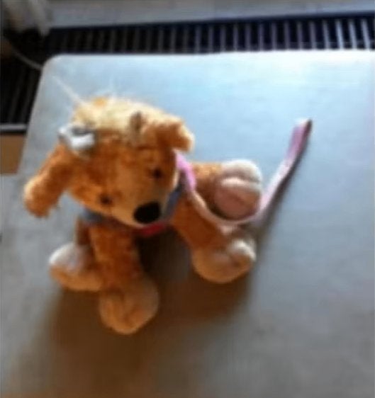 Knuffel hondje hoogte 25 cm., Ophalen of Verzenden, Zo goed als nieuw, Hond
