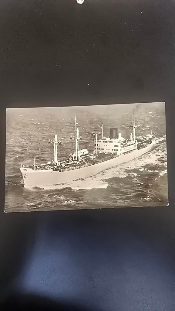 foto m.s. Modjokerto Koninklijke Rotterdamse Lloyd, Ophalen of Verzenden, Zo goed als nieuw, Kaart, Foto of Prent