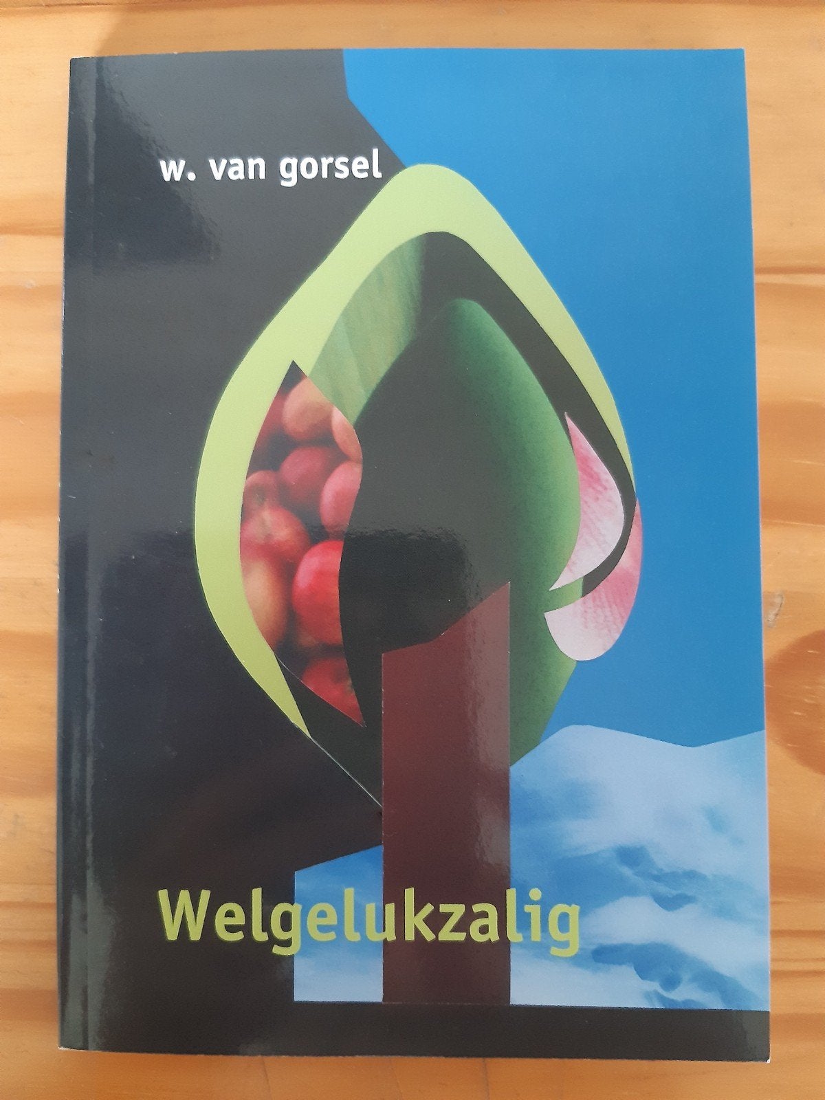 W. van Gorsel - Welgelukzalig, Gelezen, W. van Gorsel, Christendom | Protestants, Ophalen of Verzenden