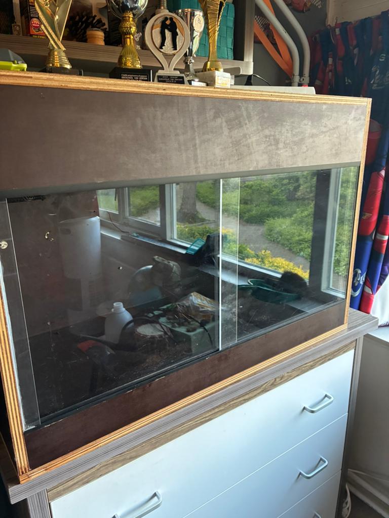 Mooi betonplex terrarium 50 diep 60 hoog 90 breed, Ophalen, Zo goed als nieuw, Terrarium of Paludarium