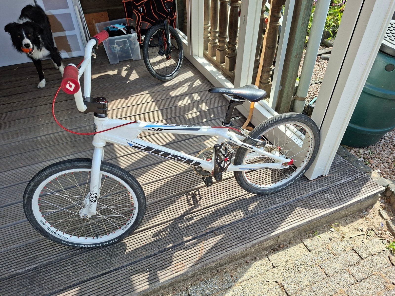 Josh 2.0 Crossfiets Expert XL - Prima staat, Ophalen, Gebruikt, 20 tot 24 inch, Josh